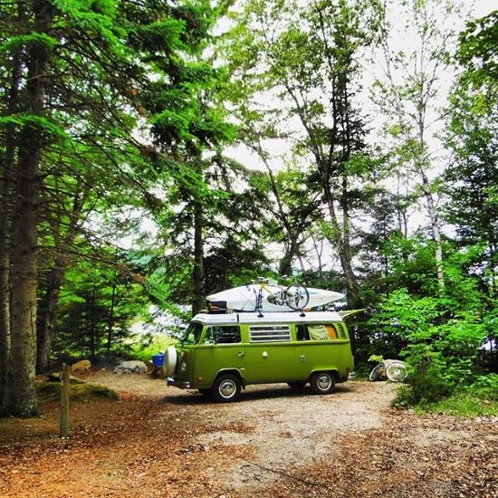 camping en pleine forêt