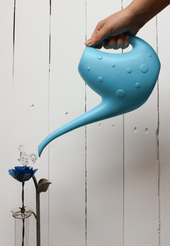 ImageBleu7