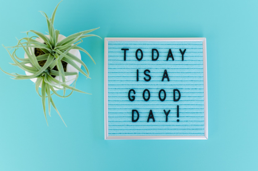 Une plante et le message : Today is a good day