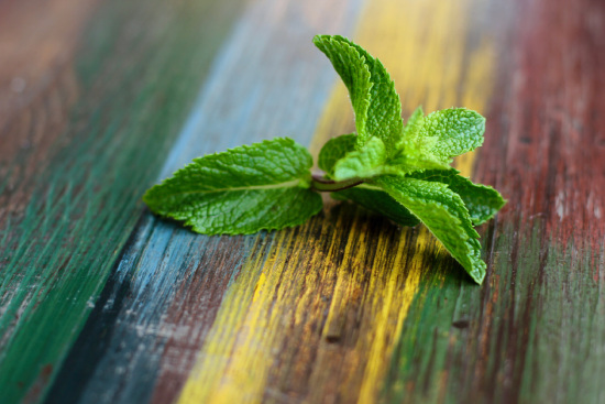 Une feuille de menthe