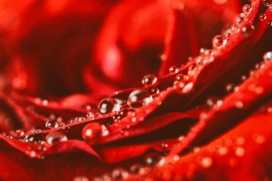 felure rouge