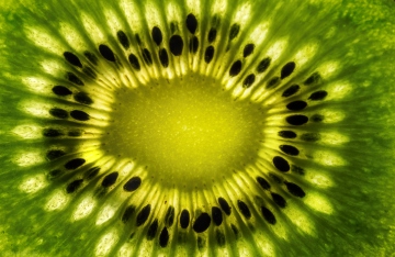 Image de kiwi