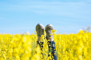 Jambes en l'air dans un champ de fleur