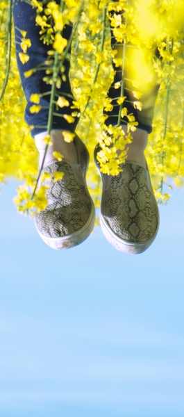 Chaussures colza à la renverse